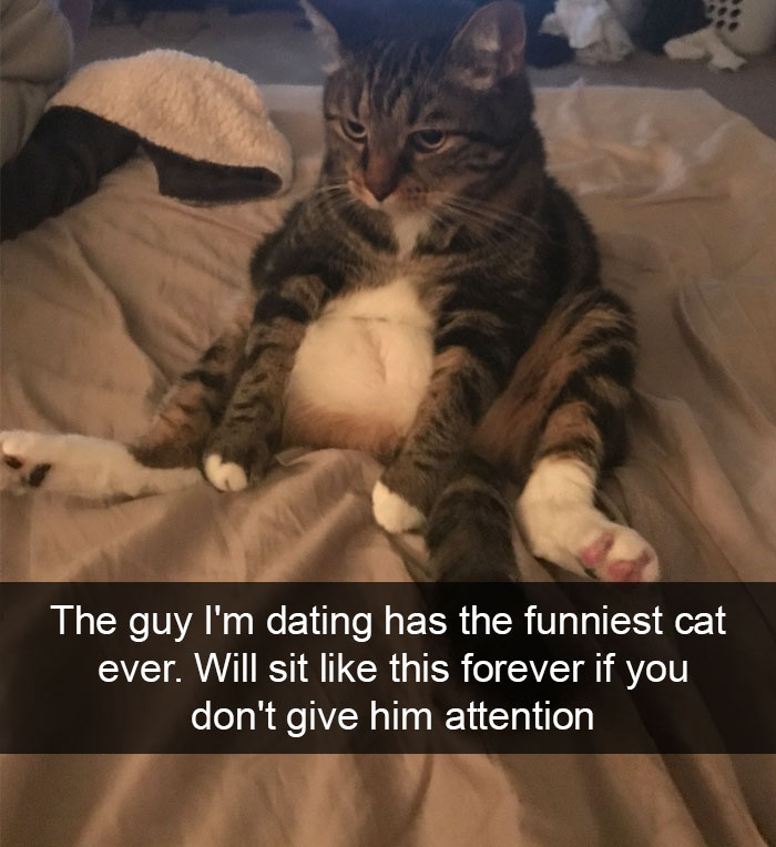128 Hilarious Cat Snapchats That Are Im-paw-sible Not To Laugh At