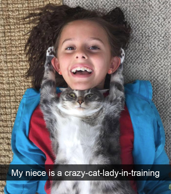 128 Hilarious Cat Snapchats That Are Im-paw-sible Not To Laugh At