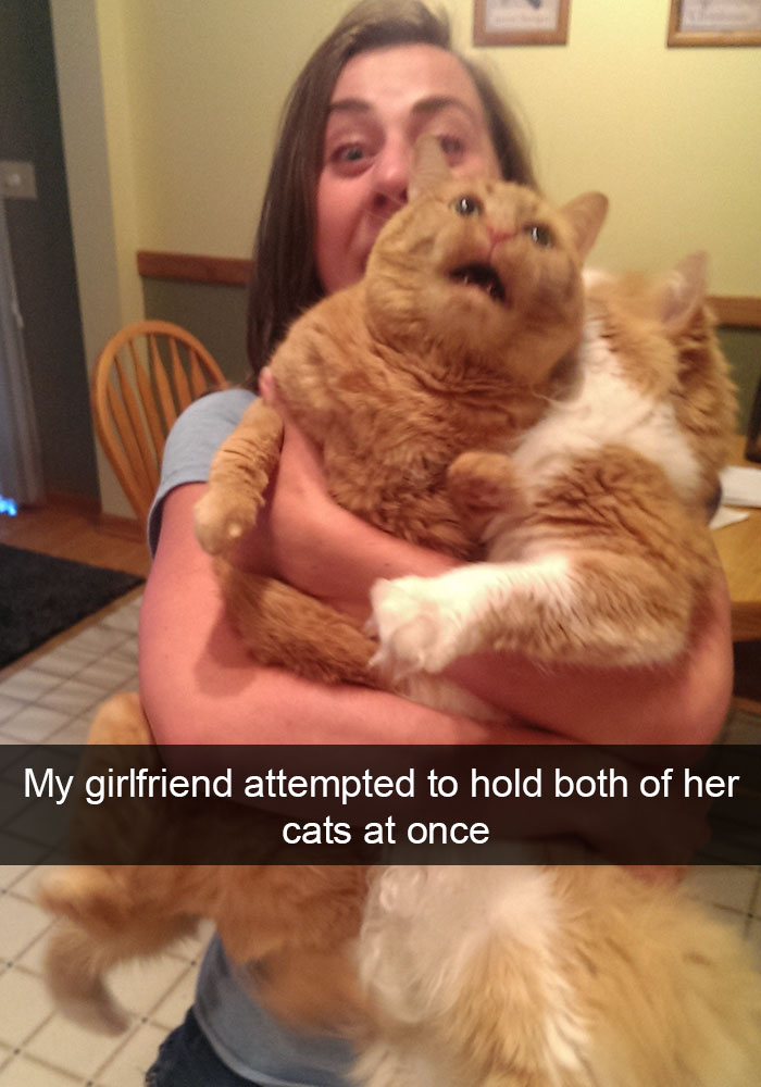 128 Hilarious Cat Snapchats That Are Im-paw-sible Not To Laugh At