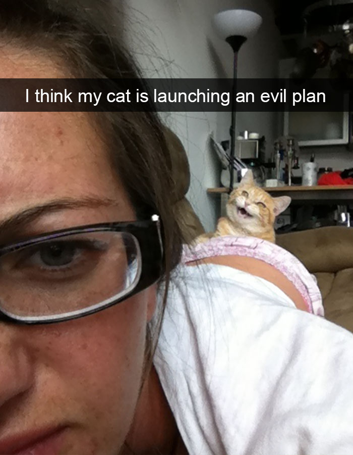 128 Hilarious Cat Snapchats That Are Im-paw-sible Not To Laugh At