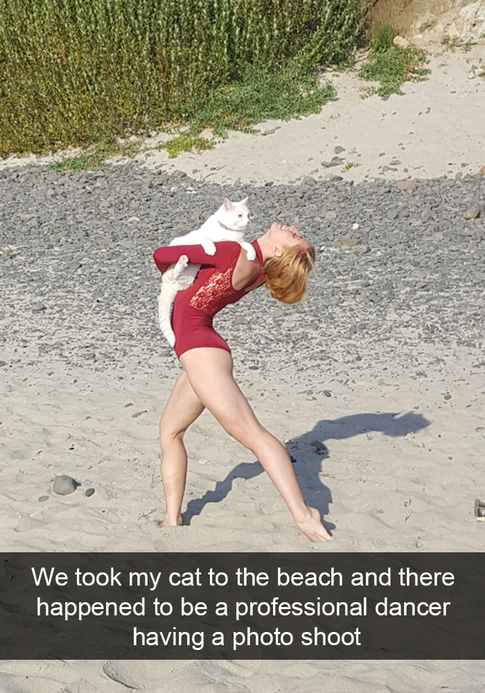 128 Hilarious Cat Snapchats That Are Im-paw-sible Not To Laugh At