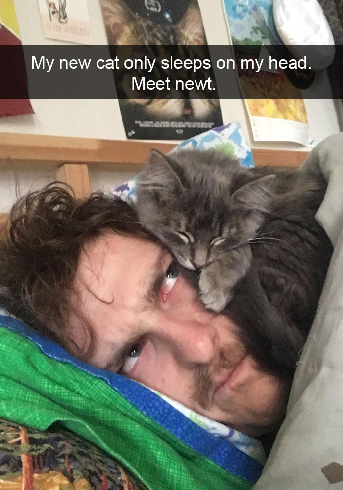 128 Hilarious Cat Snapchats That Are Im-paw-sible Not To Laugh At