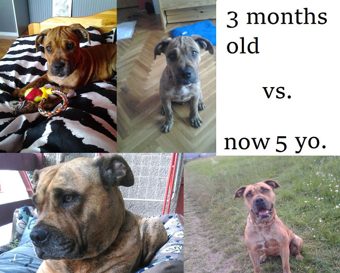 My Ca De Bou A´alaya