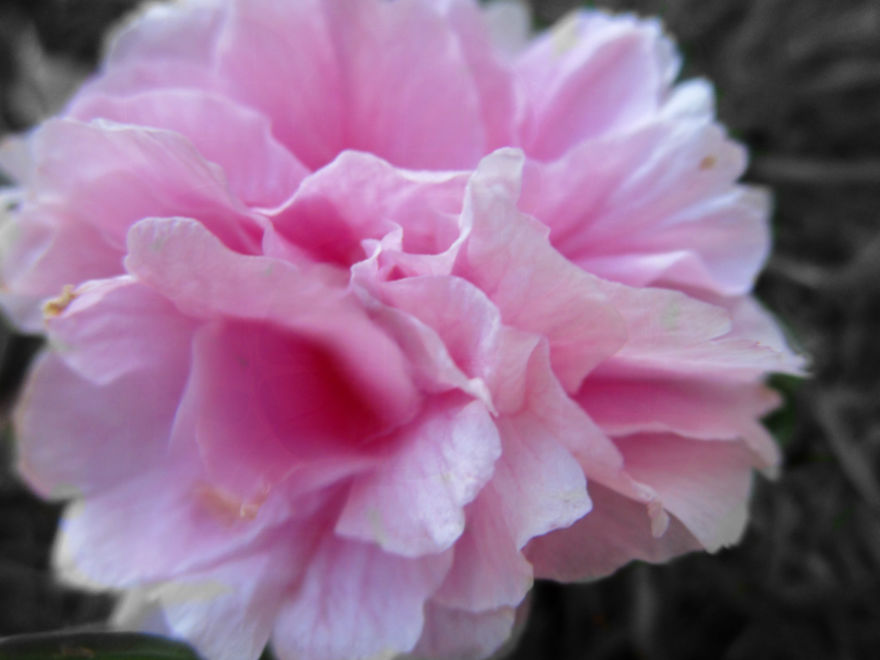 I Spent So Long On This Photograpgy!