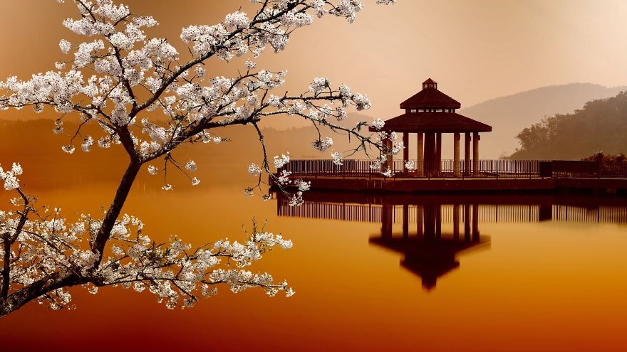 I Spent So Long On This Photograpgy!