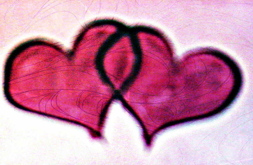 I Spent So Long On This Photograpgy!