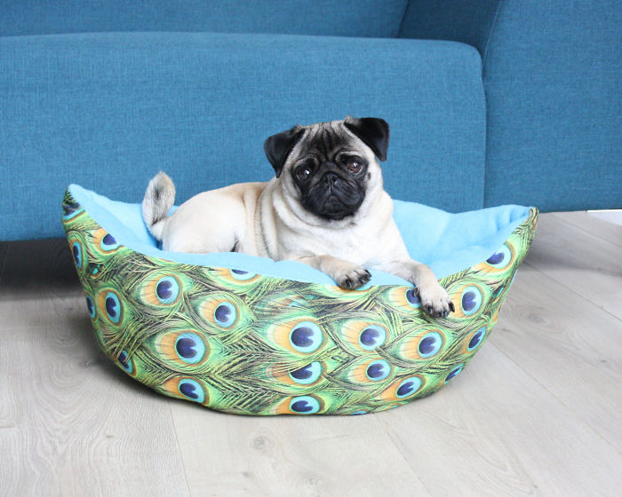 These Two Pugs Have The Hardest Job...