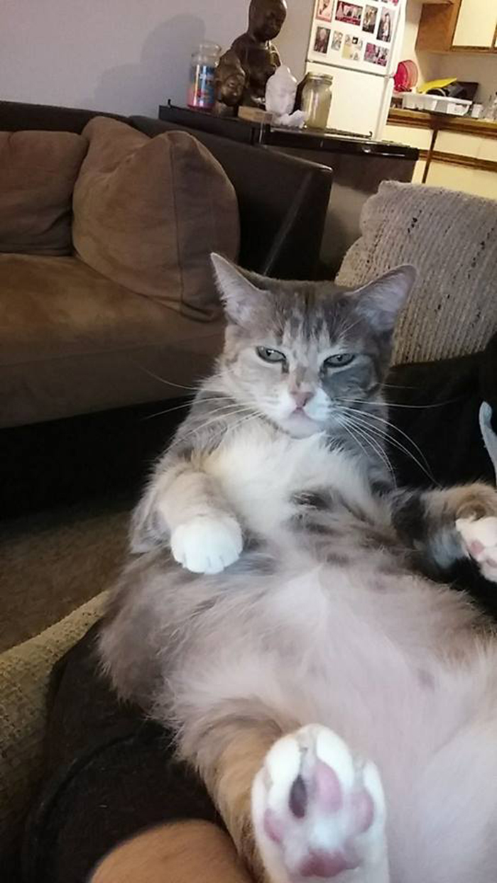 I'm Just A Piece Of Furniture.