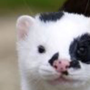 claricestanley11love avatar