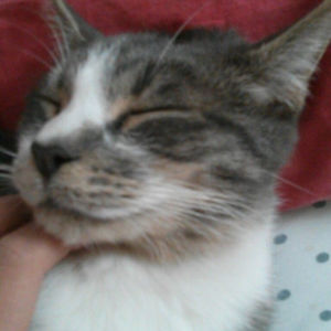 lisa_zhou1909 avatar