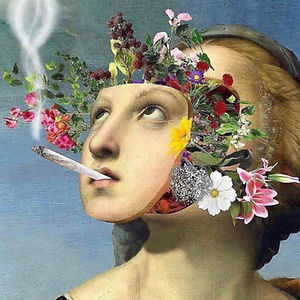 qbanitabonita avatar