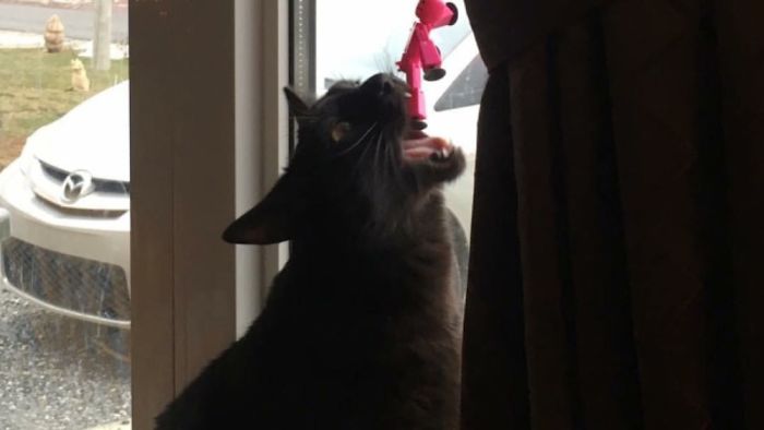 "i Don't Know What This Is, But Imma Eat It"