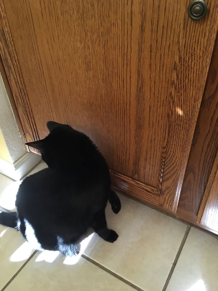 She's Still Not Sure What This Game Is