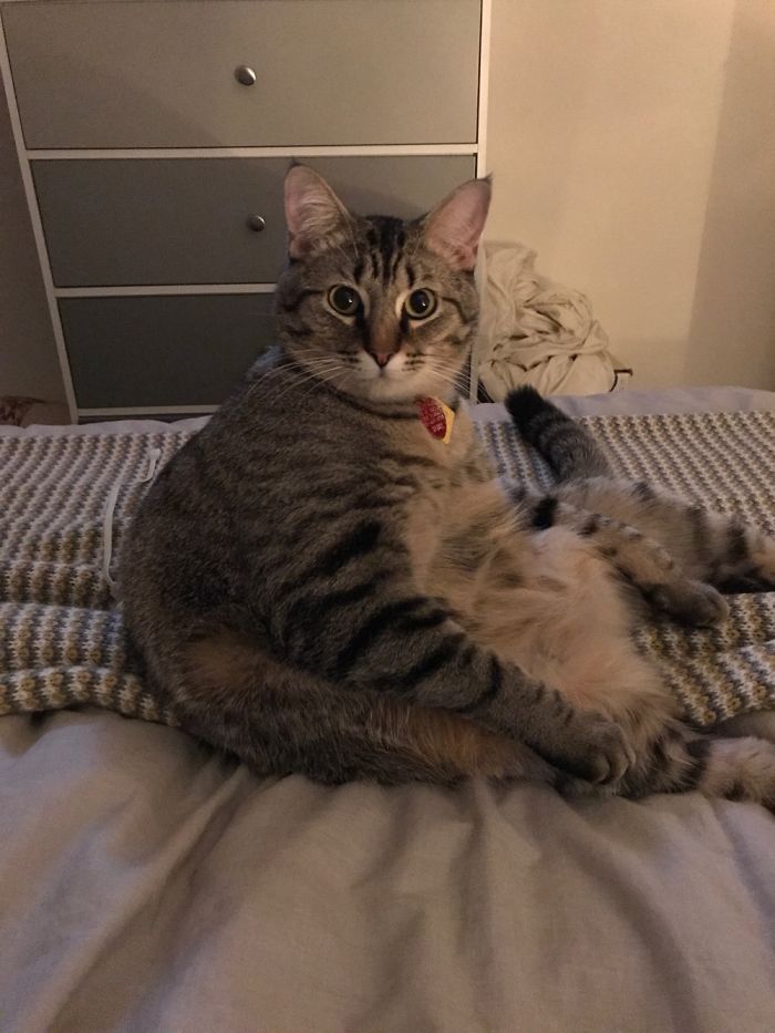 He Always Sits Like This.