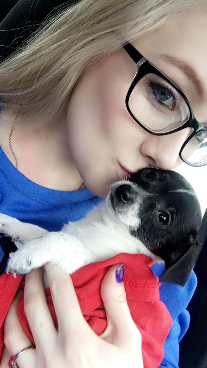 I Bought My Dream Dog And I Couldn't Be Happier 🐾💙