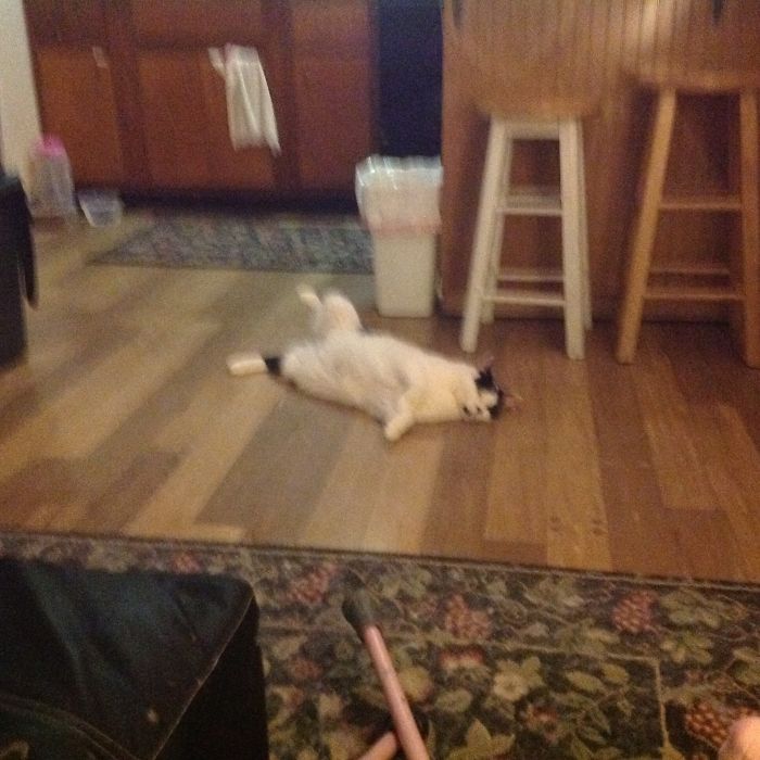 Rorschach Being Rorschach...