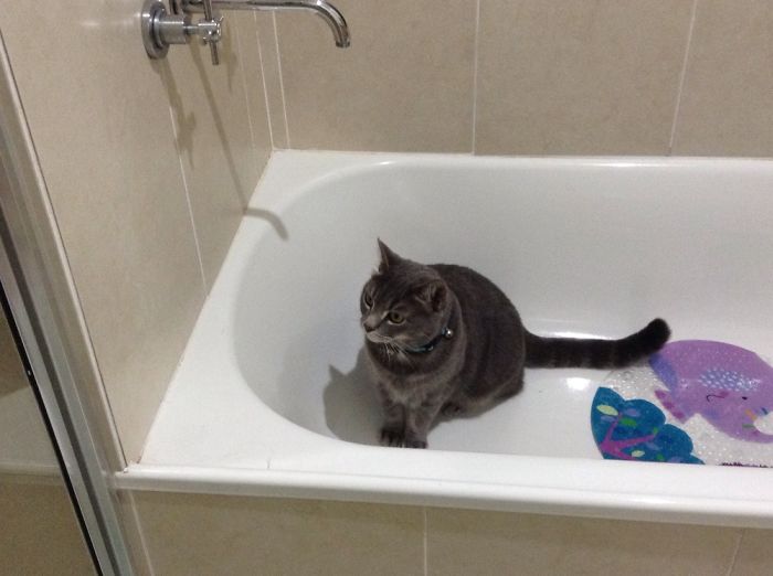 Just Taking A Bath Mum
