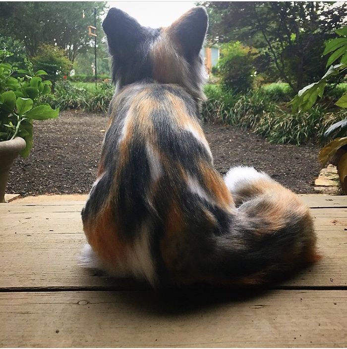 Cat Art Helping Real Cats Get A Second Chance Cat Art Helping Real Cats Get A Second Chance