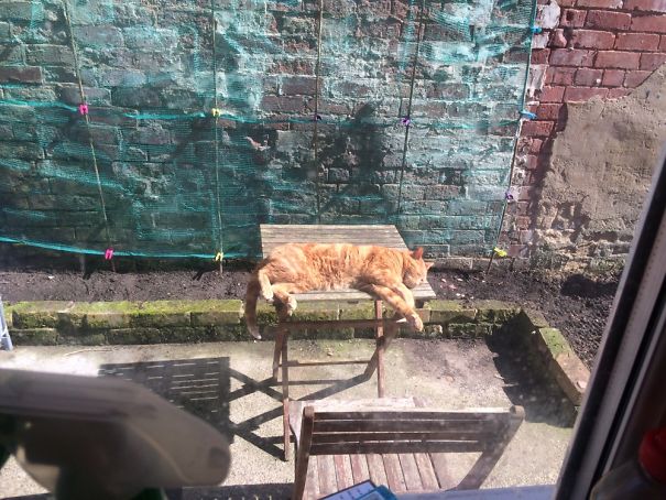 Marms Sunning Himself!!!