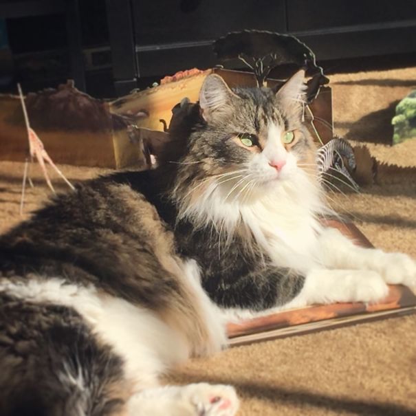 Interrupting Activities Because The Sun Came Out!