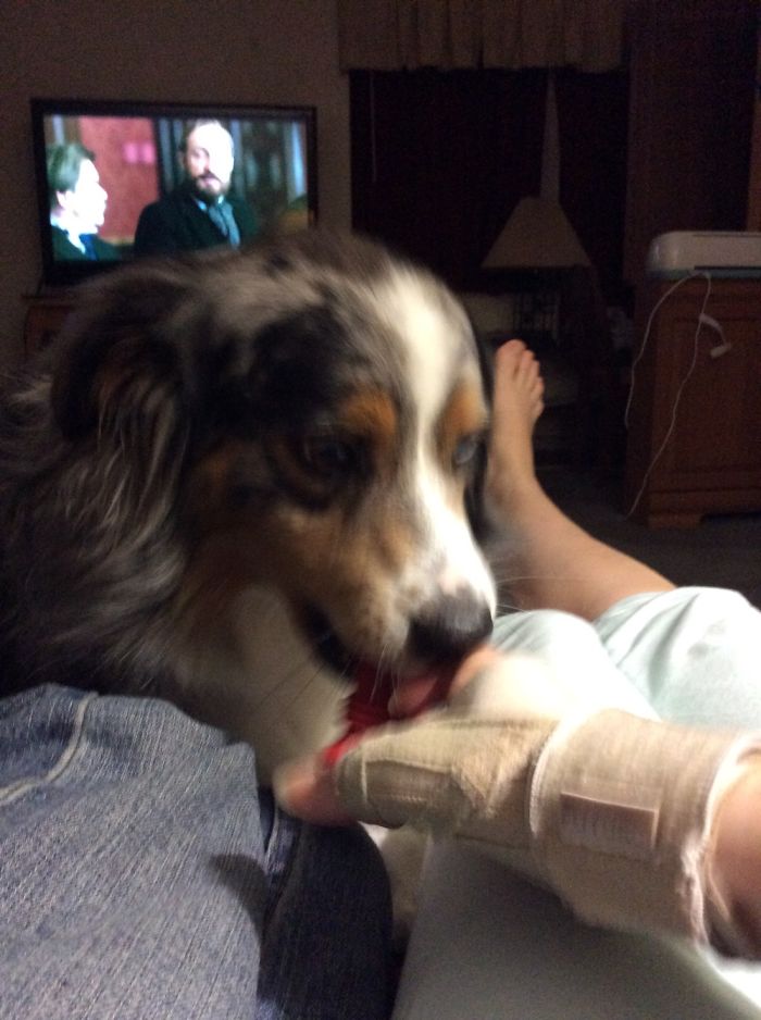 Playful Doggo (2 Pics)