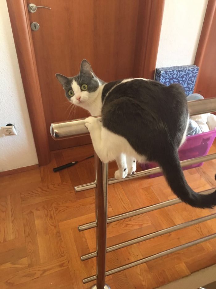 Don't Let Yourself Get Disturbed. Keep Chillin'