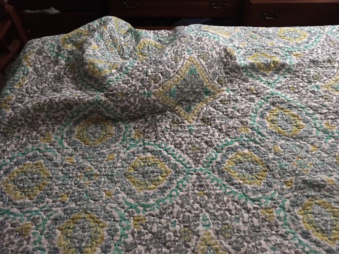 I Don't Understand Why He Did This To Himself...it's 90 Degrees Outside.