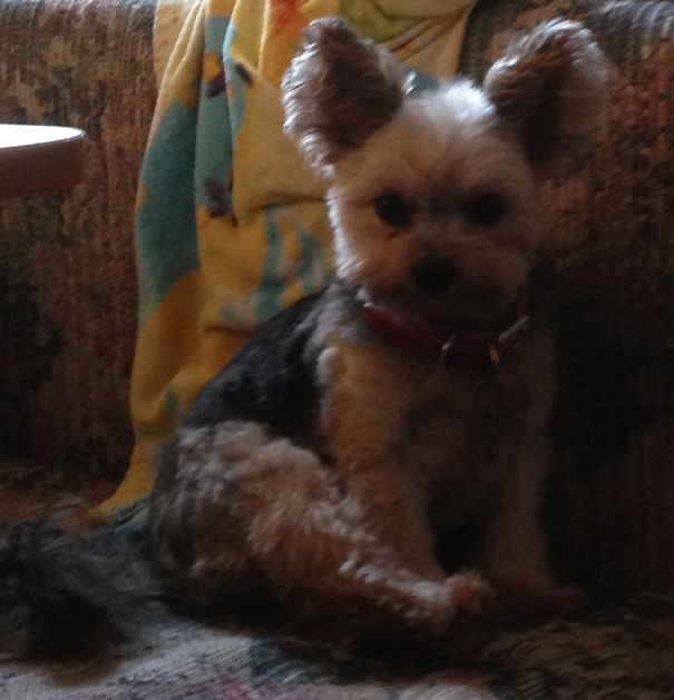 She Just Randomly Sat Down With Her Leg Like This One Day