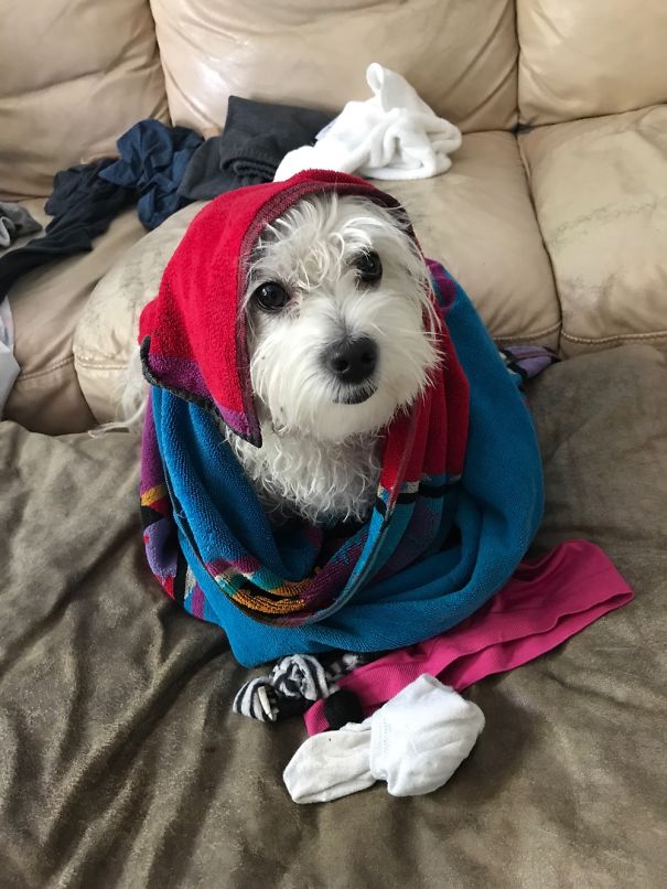 Joesph And The Rainbow Coat