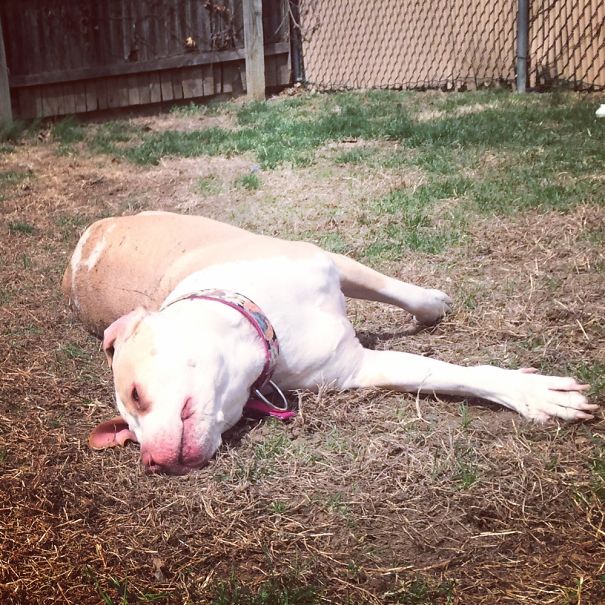 Sniff Sniff Mmmm Loving The Smell Of Dirty Lol