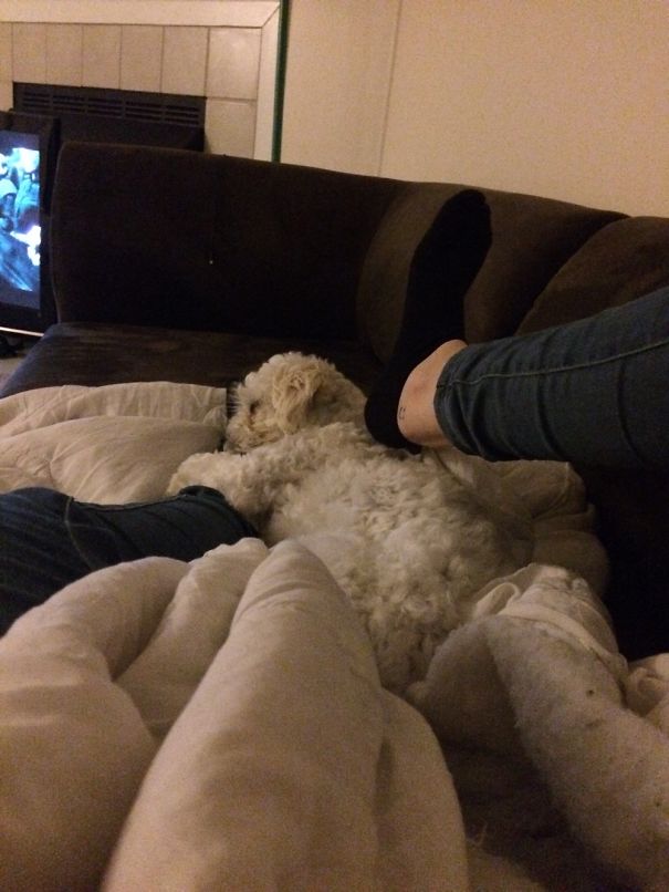 She Likes To Spoon My Foot