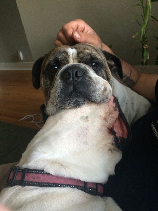 Titus Using His Sister, Drea's Head As A Resting Place.