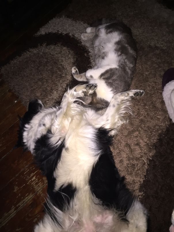 Anything You Can Do I Can Do Better