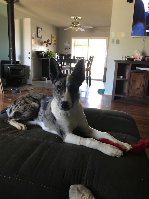 She Doesn't Seem To Like Her Picture Taken