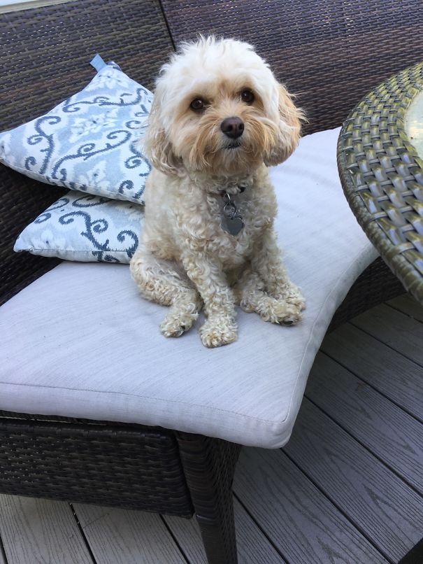 Why Is She Sitting Like This???