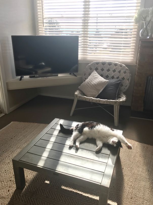 Charlotte Loves The Sun And The Table !!!