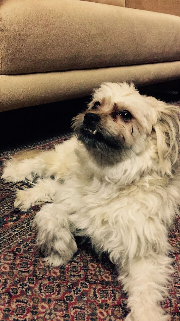 Can't Stop With The Derp Smile, #weirdo