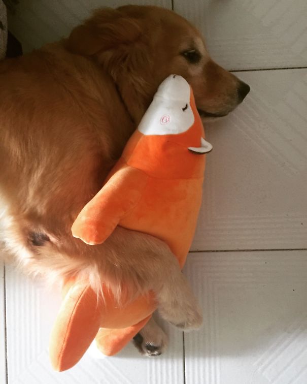 She Just Loves Her Toy