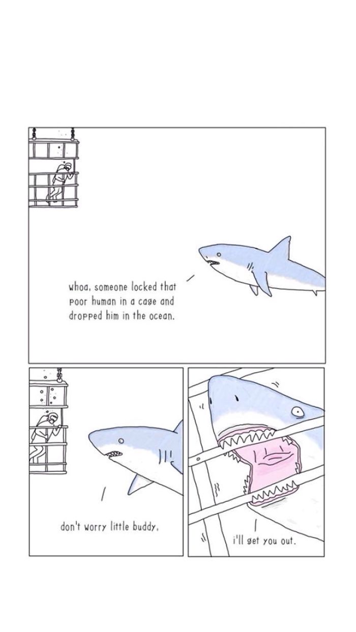 Hey Pandas, Post Your Favourite Memes