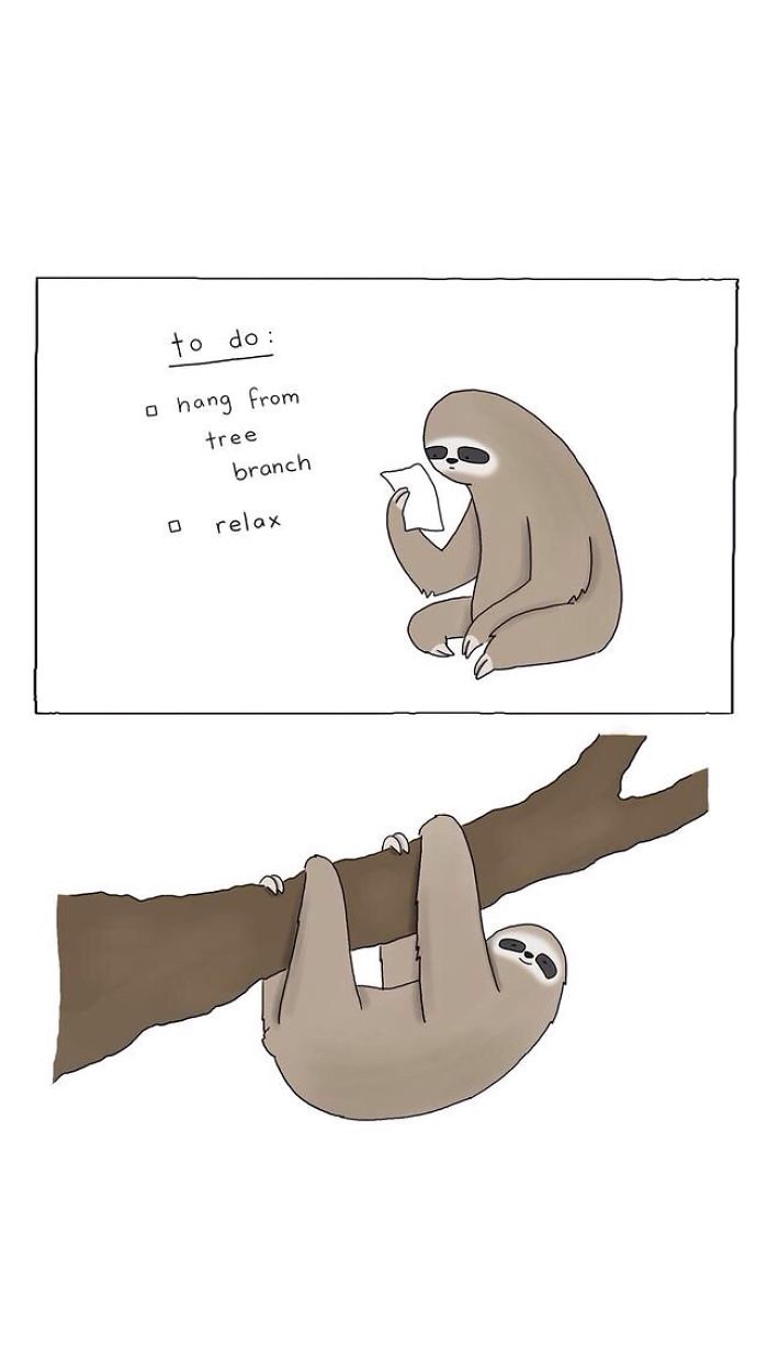 Hey Pandas, Post Your Favourite Memes