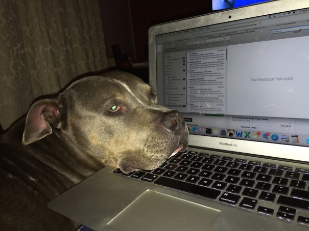 You Don't Mind If I Rest My Head Here Right?