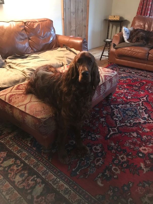 What? I'm Just Watching Tv!