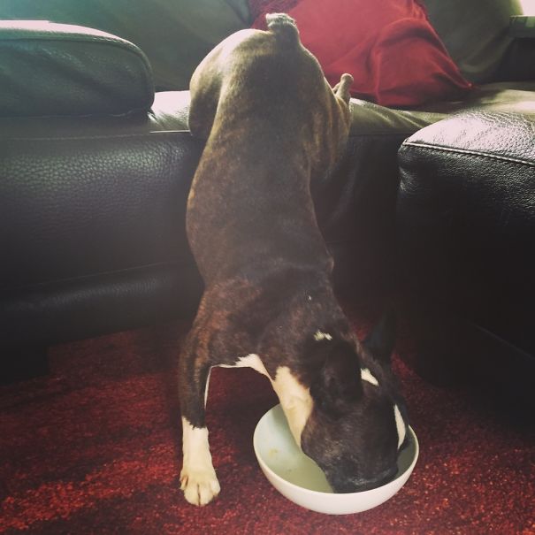 This Is How I Eat My Cereals 🙈