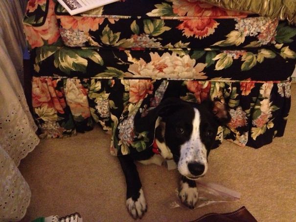 I Couldn't Find Her Then She Popped Out From Hiding! I Had Been Sitting There For An Hour!