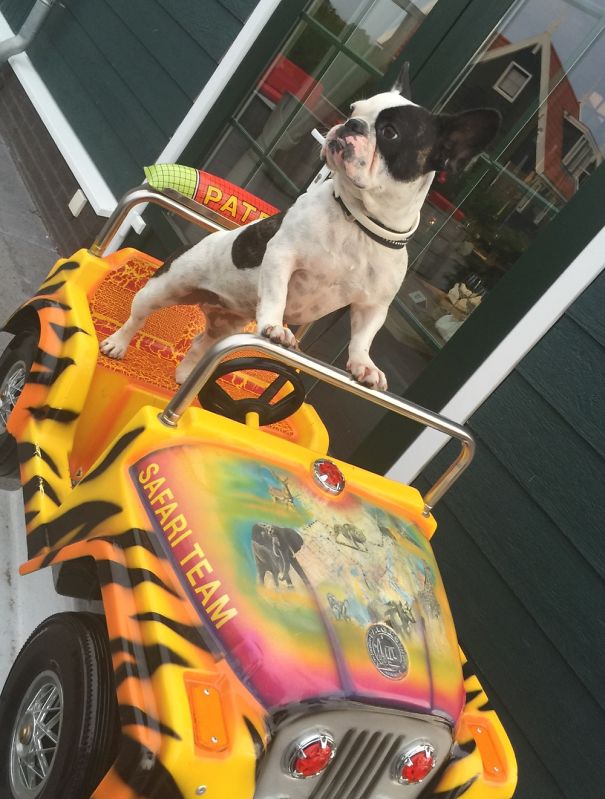 She Thinks She Owns The Car...