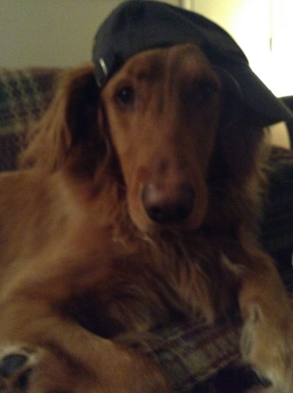 "do I Look Like Daddy Yet?"