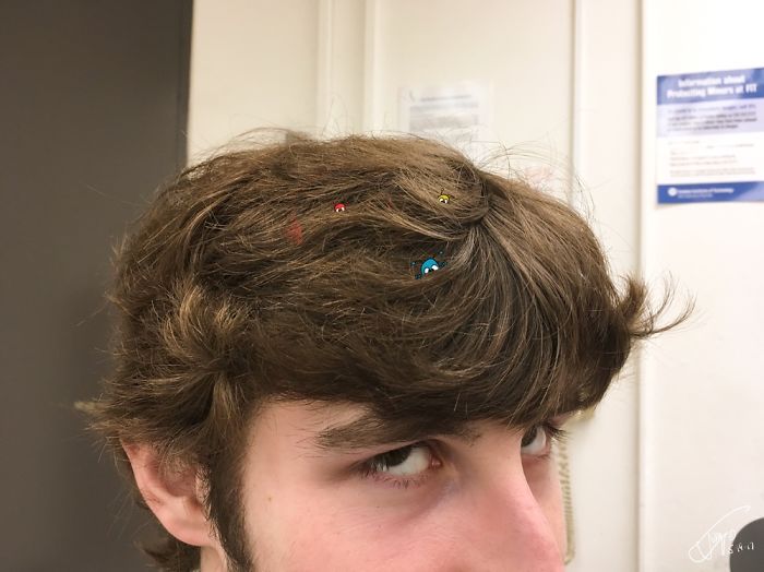 Rolly, Olly, And Biscuit Adventures