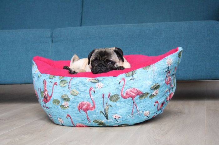 These Two Pugs Have The Hardest Job...