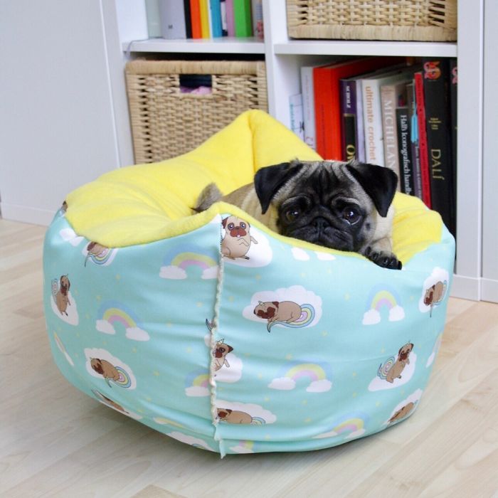 These Two Pugs Have The Hardest Job...