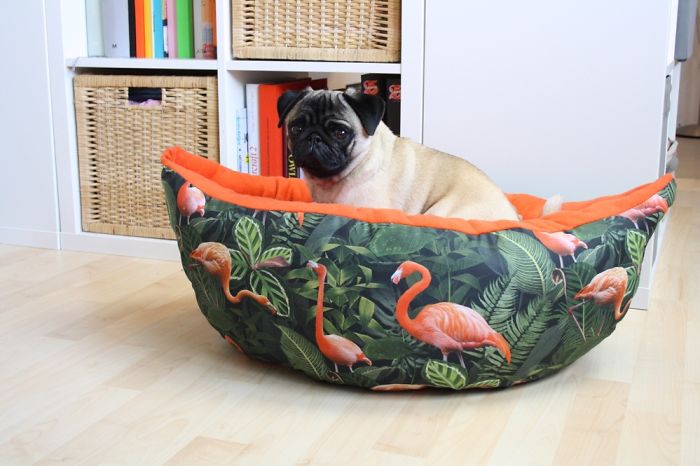 These Two Pugs Have The Hardest Job...